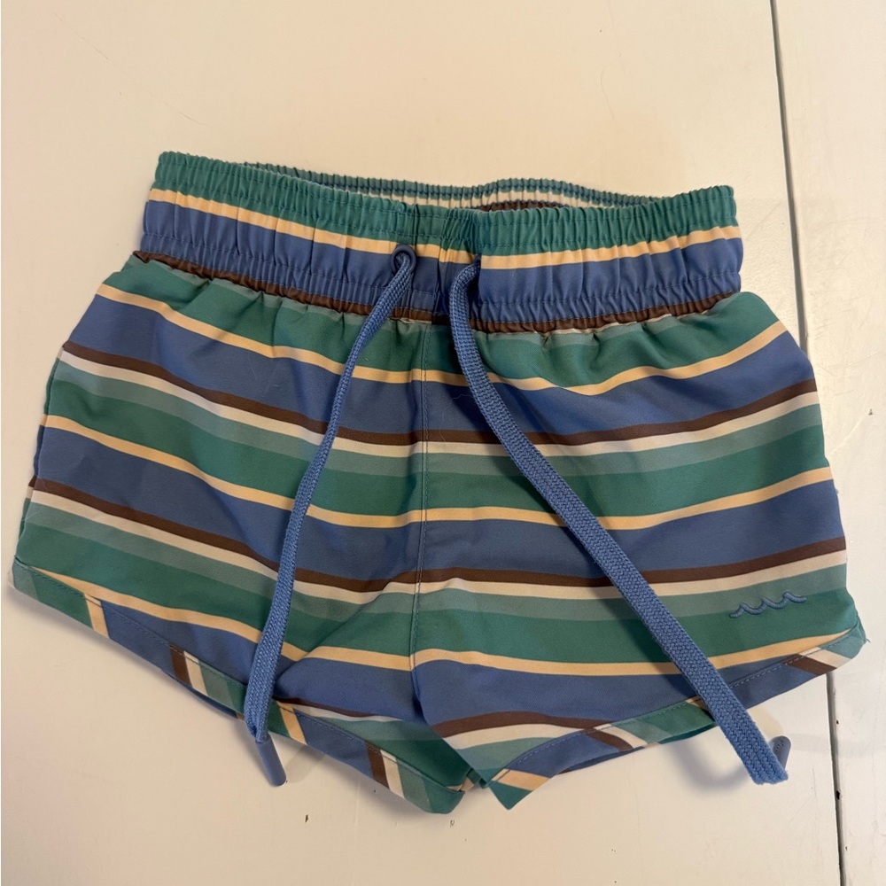 Minnow - Striped Blue & Green Swim Shorts
